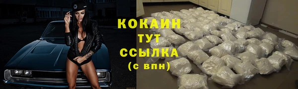 амф Пересвет