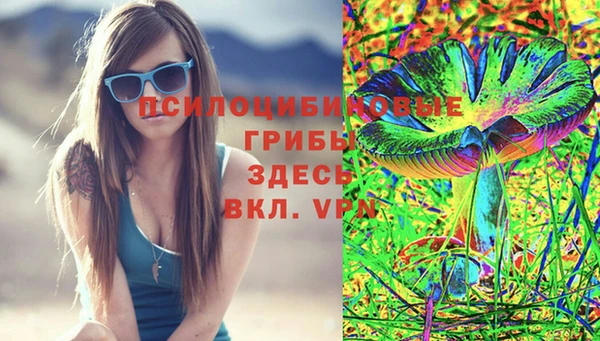 амф Пересвет