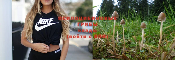 мдма Пестово