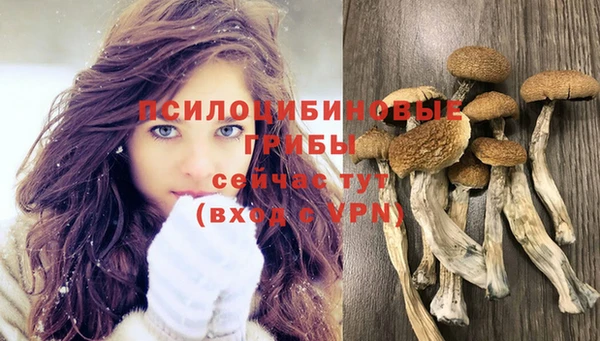 мдма Пестово